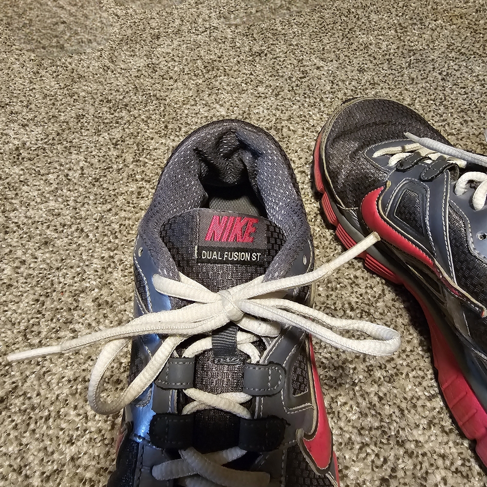 Nike Kids Dual Fusion ST Gray and Pink Shoes